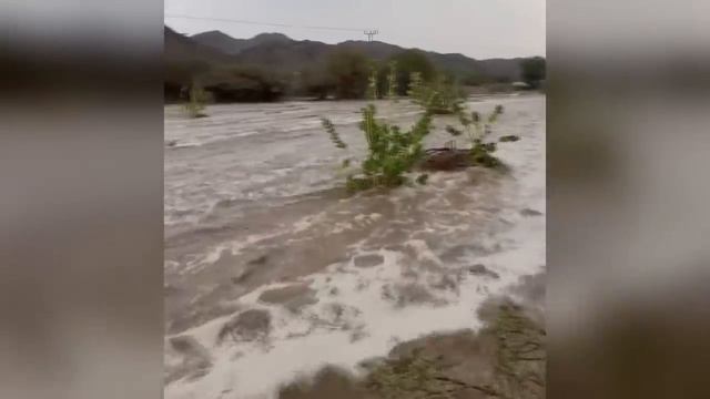 Critical Changes! The deserts of Saudi Arabia are covered with rivers! Flooding in Taif смотреть онлайн