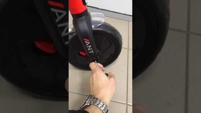 Детский велосипед трехколесный QPlay LH510 смотреть онлайн