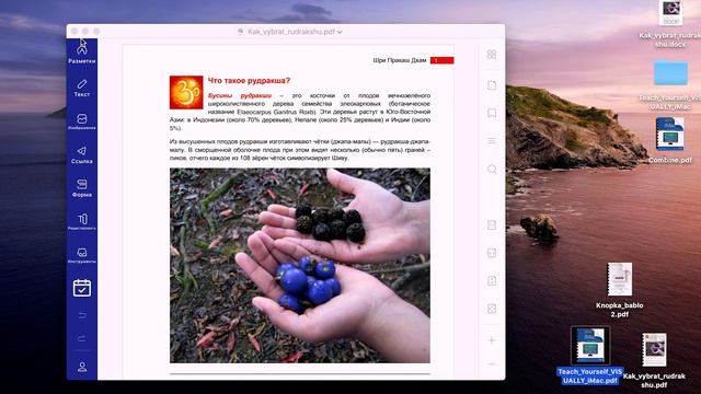 Как конвертировать PDF на Mac? Как редактировать PDF? смотреть онлайн