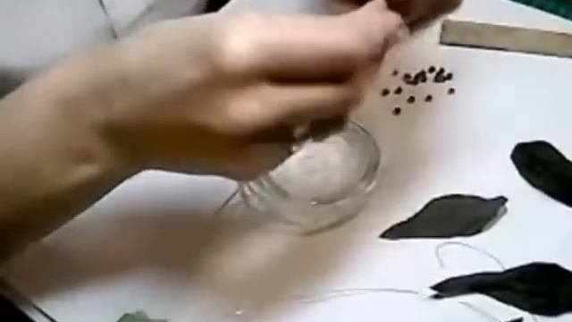 Мастер-класс цветы из кожи. Ирис Анжелло (анонс). смотреть онлайн