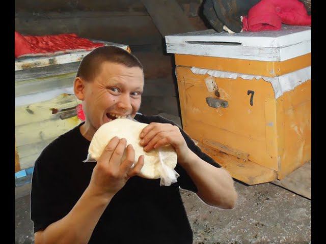 Подкладываю канди пчёлам в зимовнике смотреть онлайн