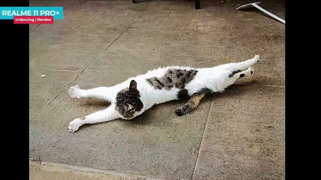 Realme 11 Pro Plus Unboxing in Hindi | Price in India | Hands on Review смотреть онлайн