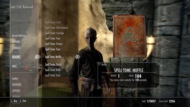 Skyrim: How to get INVISIBILITY! (Unique Spells #4) | Expert Illusion Spell смотреть онлайн