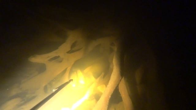 ЭТА РЫБА МОЖЕТ ЖИТЬ БЕЗ ВОДЫ!!! ВОТ ЭТО Я НЕ ОЖИДАЛ ВСТРЕТИТЬ НА ПОДВОДНОЙ ОХОТЕ!!!2021. смотреть онлайн