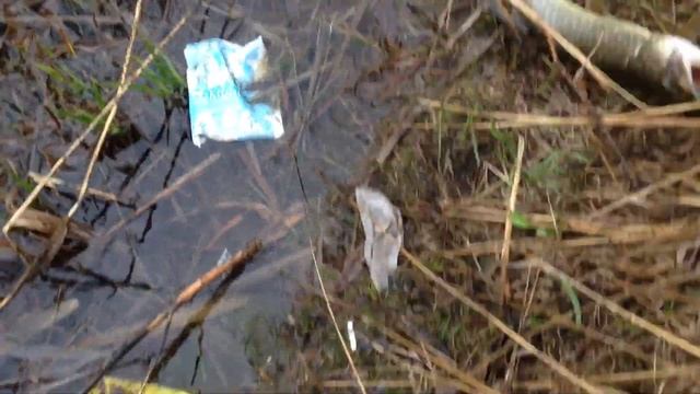 Щучка на Р21 гриди гатс 77 сп смотреть онлайн