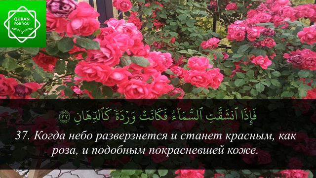 Сура 55 ар Рахман (Милостивый) - слушать красивое чтение суры смотреть онлайн