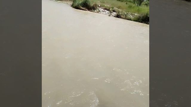 Рыбалка на усача на реке Нальчик смотреть онлайн