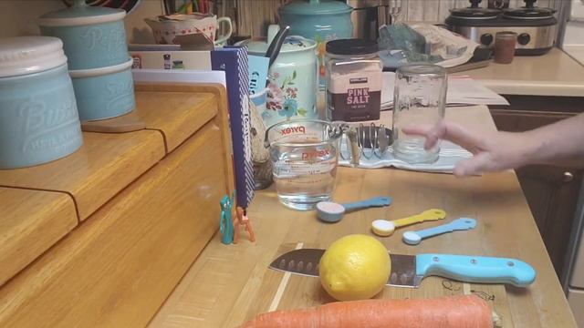 Fermented February Carrot Sticks #fermentedfebruary2024