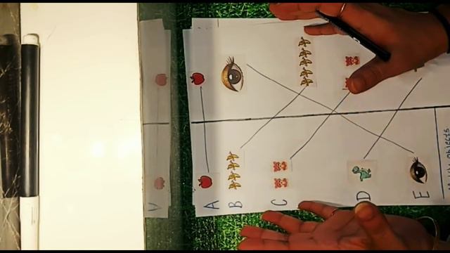 Kids worksheets | Kids Fun | Kids Color | kids activities | Kids fun Activities | Home fun for kids смотреть онлайн