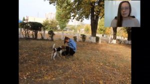 бигль секреты дрессировки и обучения Учитываем все