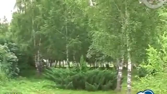 ГУТО Чер дом интернат смотреть онлайн