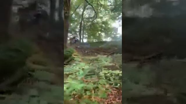 CF Moto ?? 1000 Can-am 450 . Deutschland ?? Quad Fahren ???