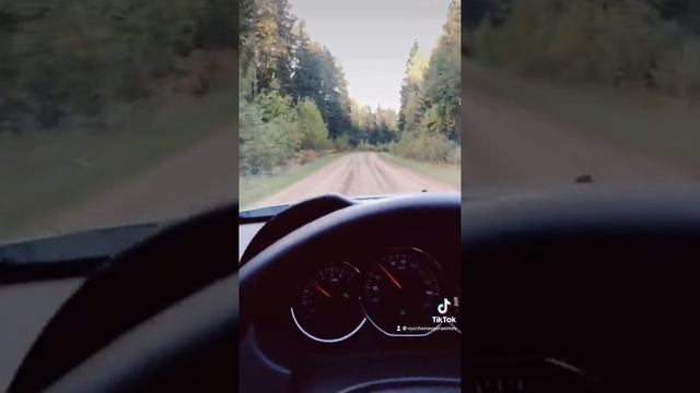 Анекдот про кота ??? смотреть онлайн