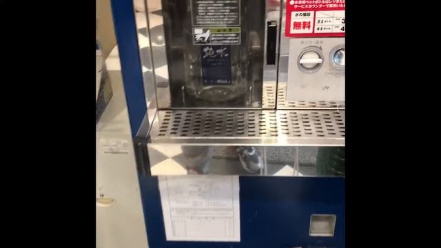 Сколько стоит помидор в Японии? смотреть онлайн