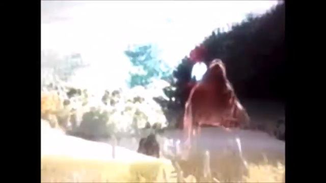 Krister the movie - Rädda en kompis! Tv-reklam! смотреть онлайн