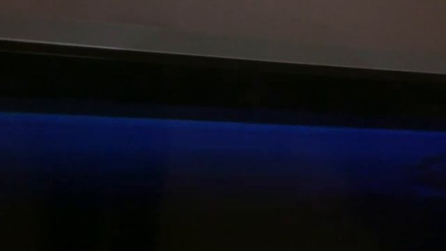 Вторая часть обзора телевизора Sony смотреть онлайн