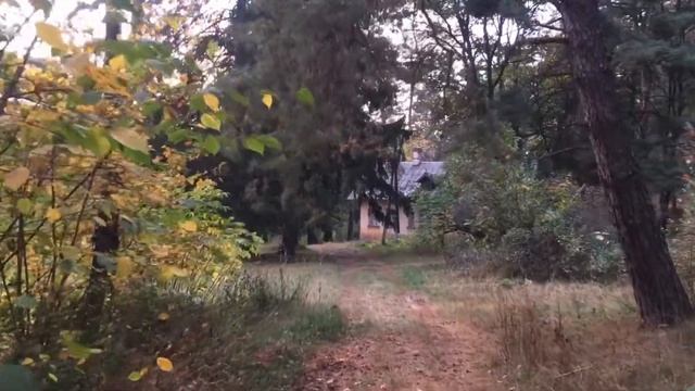 2020 10 Натальевка смотреть онлайн