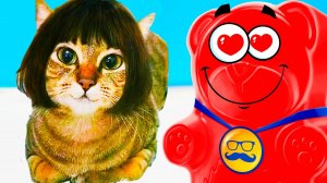 Купил Валерке кота !! Мурлин Мурло для медведя Валеры !