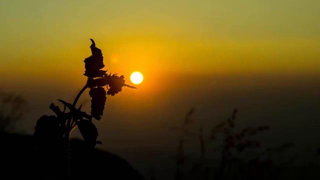 9 HOURS Best Relaxing Music | Classical Guitar , Relax, Sleep, Study, Meditation