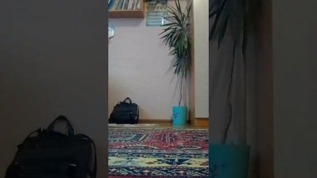 как научиться стоять на руках 2 часть смотреть онлайн