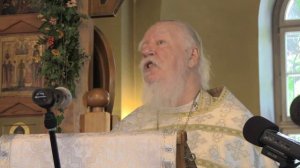 Бессмертная душа, или Как аккуратно попасть в ад. Протоиерей Дмитрий Смирнов