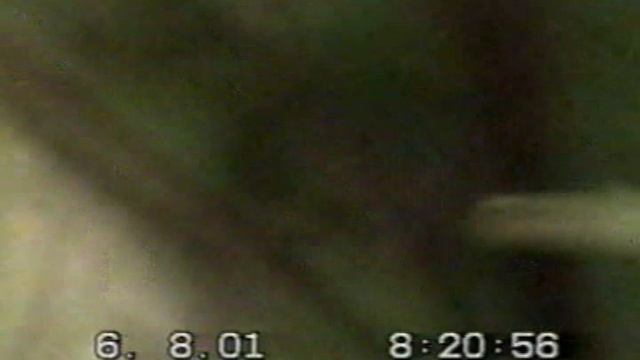 Бабуля и цветы !!! Манюша наблюдает за мясом !!! смотреть онлайн