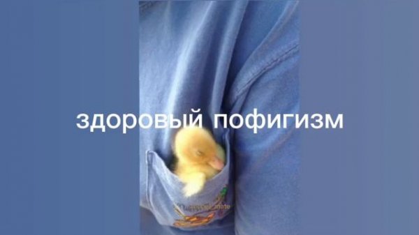здоровый пофигизм/саблиминал