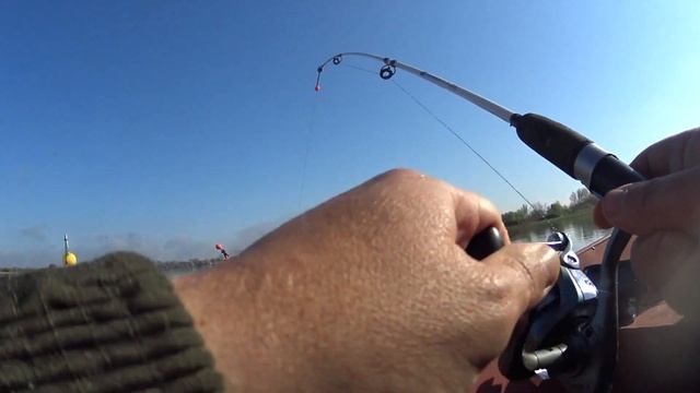 БОЙЛЫ УБИЙЦЫ КАРАСЯ / РЫБАЛКА С ЛОДКИ / ВЗЯЛИ ЛОДКУ НА ПРОКАТ