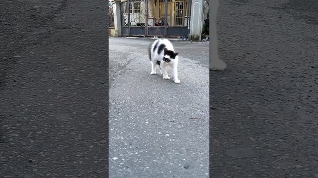 Герой, которого мы заслужили смотреть онлайн