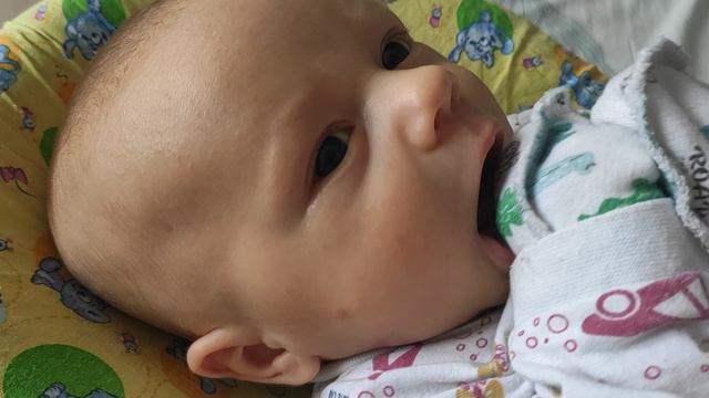 VID_20240610_104950.mp4