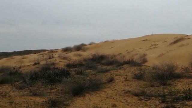 Обкатка КИА Мохаве. Первые 1500км. смотреть онлайн