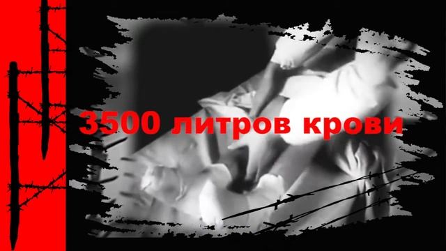 Дети узники концлагерей 2 часть смотреть онлайн