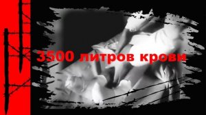 Дети узники концлагерей 2 часть