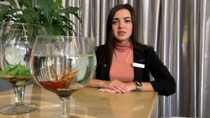 Рыбки-петушки: как ухаживать за аквариумной рыбкой | Екатеринбург