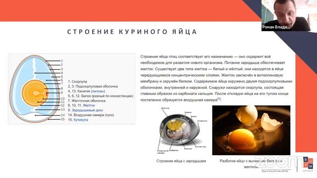 «Физический и компьютерный эксперимент как средство формирования функциональной грамотности» смотреть онлайн