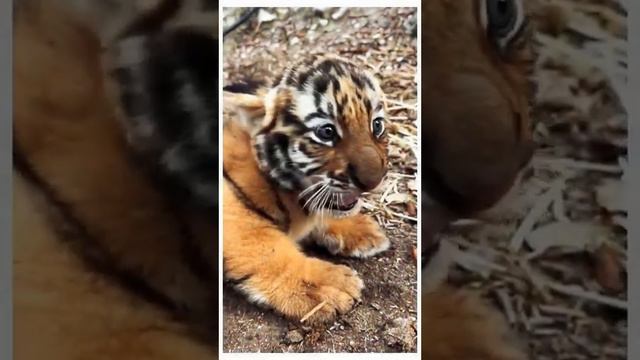 У природы нет плохой погоды, каждая погода ч 20 смотреть онлайн