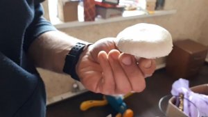 Как вырастить грибы дома.