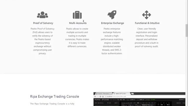 RIPAEX - гибридно-децентрализованный обменник смотреть онлайн