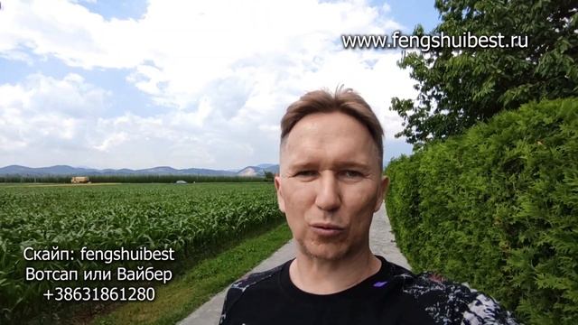 Ци Мень и Мыслеформы. Фен-шуй, Ба-цзы. смотреть онлайн