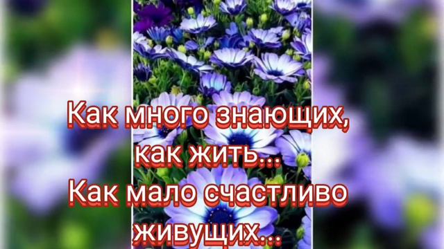 Моим друзьям, #пожелания, #поздравления, #надияеременко, @ку, смотреть онлайн