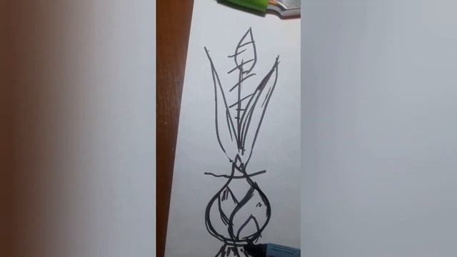 Луковицы тюльпанов после выгонки. Стоит ли покупать? Что с ними делать? смотреть онлайн