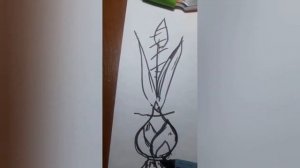 Луковицы тюльпанов после выгонки. Стоит ли покупать? Что с ними делать?