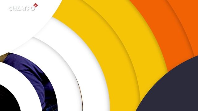 Профессия ВЕТЕРИНАР смотреть онлайн