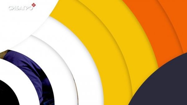 Профессия ВЕТЕРИНАР