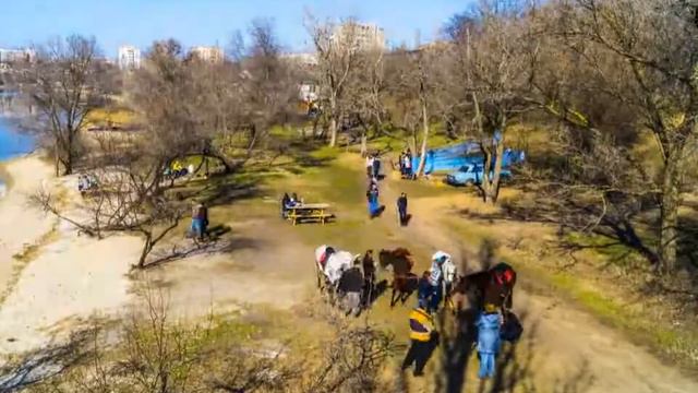 Катание на лошадях у реки в Николаеве смотреть онлайн