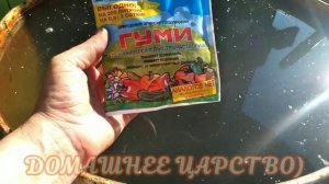 Чем подкормить ваши томаты! Гуми оми!