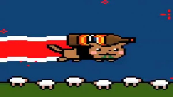 Le Nyan cat Néo-Zélandais