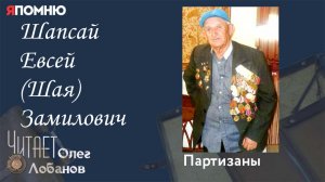 Шапсай Евсей Шая Замилович. Проект «Я помню» Артема Драбкина. Партизаны.