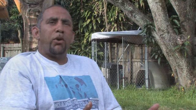 Dog Training & Care : Breeding Shih Tzu смотреть онлайн