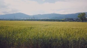 СИЛА ВОЗДЕРЖАНИЯ | Какие ГЛАВНЫЕ ПРЕИМУЩЕСТВА человек ПОЛУЧАЕТ